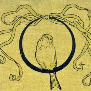 Meet your Posher, Colleen